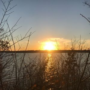 Meet your Posher, Delaney